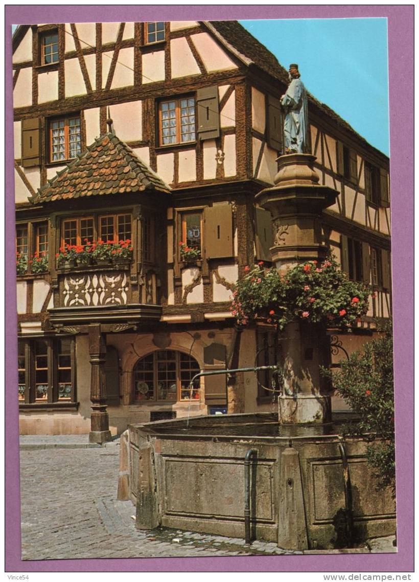 TURCKHEIM  -  Avec Ses Fontaines Et Ses Vieilles Maisons Fleuries (XVIème Siècle) - Turckheim