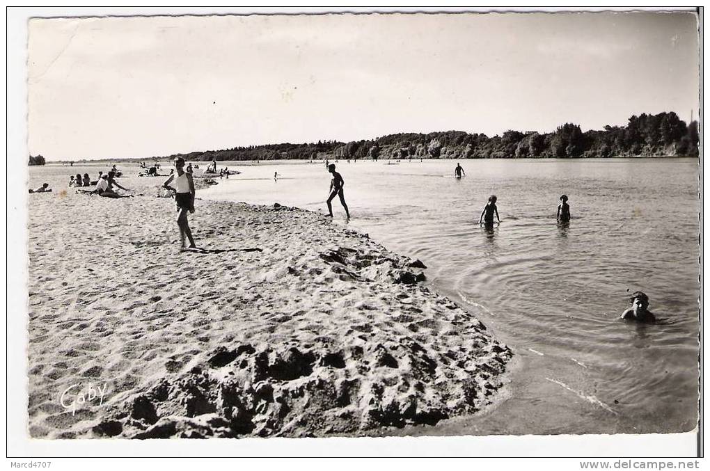 JARGEAU 45 La Plage Sur La Loire Edtions Artaud Carte Dentelée - Jargeau