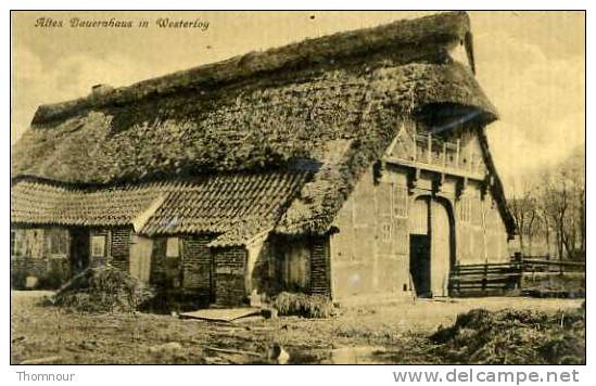 ALTES BAUERNHAUS IN WESTERLOY  TOP - Fermes