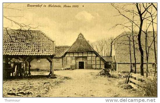 BAUERNHOF IN HALSTEDE . ANNO 1695   TOP - Bad Zwischenahn