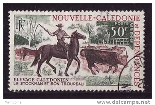 Nouvelle Caledonie  1969  PA 104  Obl   élevage Bovin - Used Stamps