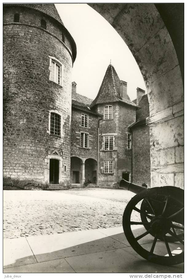 VIRIEU .  La Cour Intérieure Du Château - Virieu