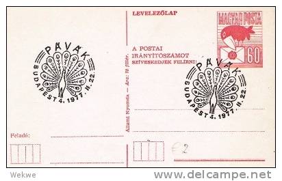 Ung271/- UNGARN - Pfaustempel, GA, Rabe Mit Brief 1977 (vOGEL, BIRD, PAJARO) - Briefe U. Dokumente