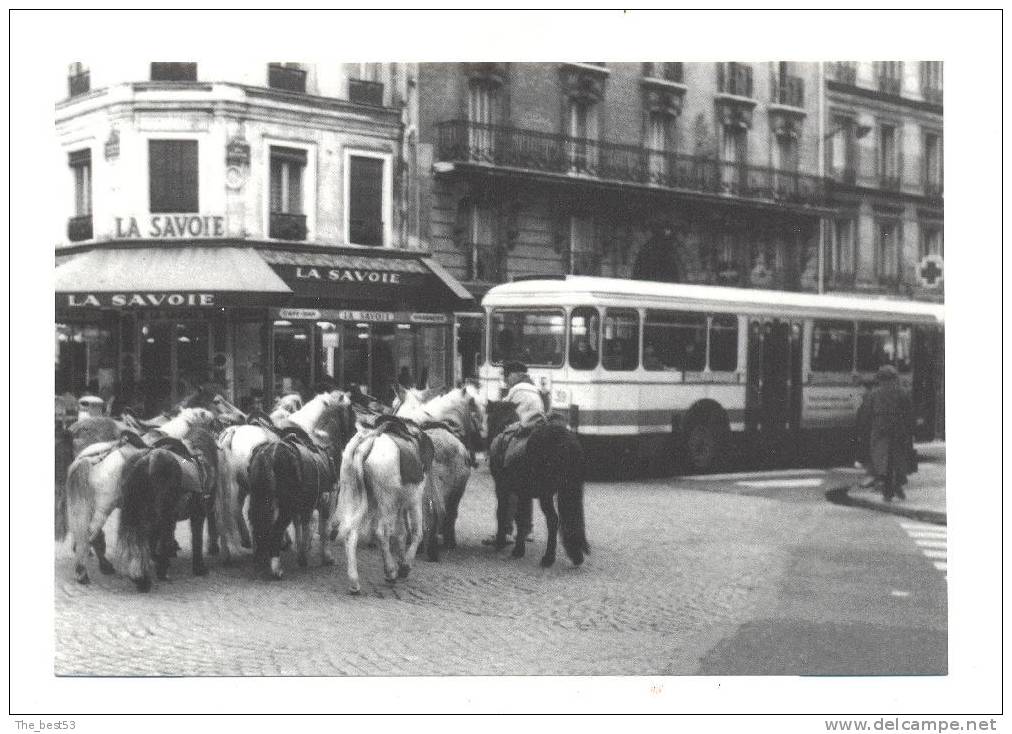 Paris   -   Les Poneys Du Jardin Du Luxembourg Au Carrefour Sèvres Lecourbe - District 15