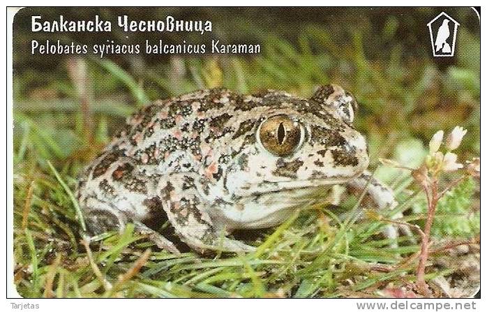 TARJETA DE BULGARIA DE UN SAPO (FROG-GRENOUILLE) - Bulgaria