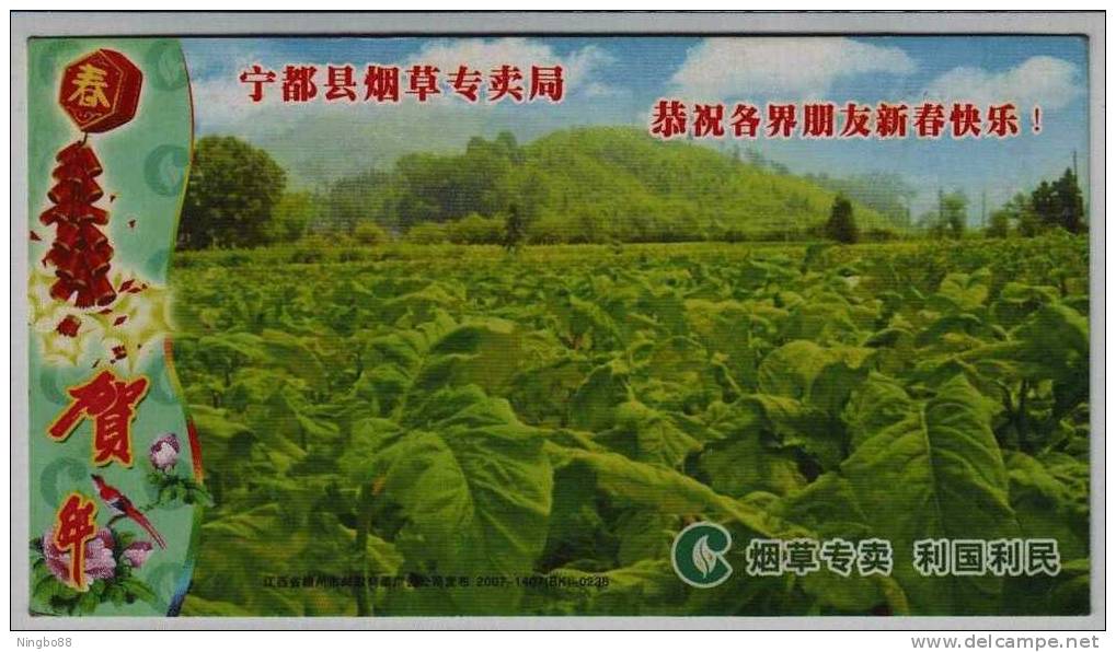 Tobacco Planting Field,China 2007 Ningdu Tobacco Monopoly Bureau Advertising Pre-stamped Card - Tabacco