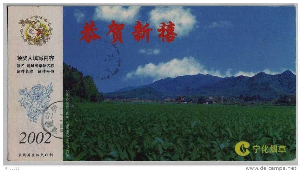 China 2002 Ninghua Tobacco Planting Base Pre-stamped Card Cigarette - Tobacco