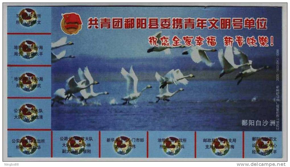 Baishazhou Alluvion Swan Bird,China 2005 Poyang New Year Greeting Pre-stamped Card - Cygnes