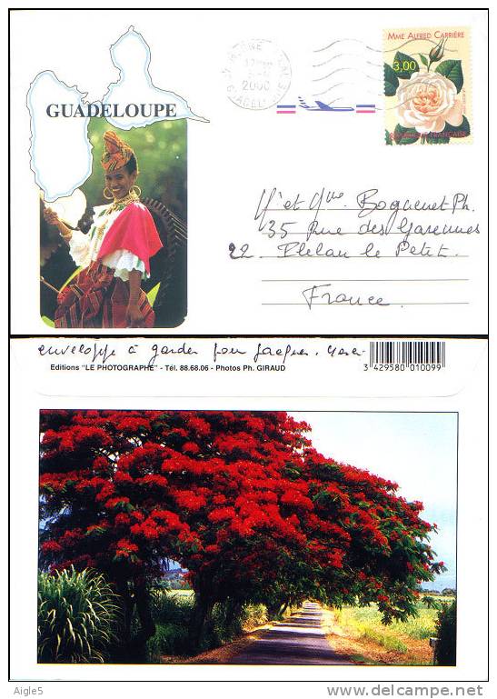 Guadeloupe, 2000, Enveloppe Illustrée, Rose , Arbre, Bougainvilliers, Costume Africaine - Rosen