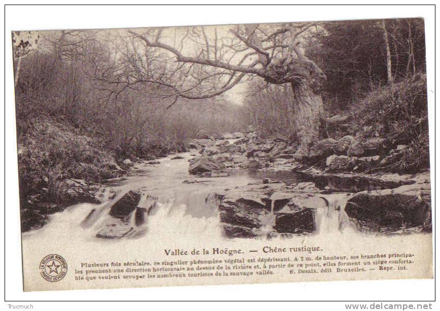 C3306 - Vallée De La Hoëgne - Chêne Rustique - Jalhay