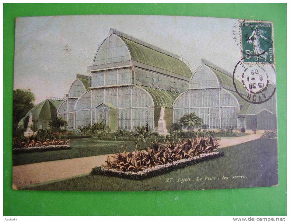 LYON   -  Le Parc ;   Les Serres  -   1909 - Landwirtschaftl. Anbau