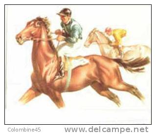 Cpm COURSES DE CHEVAUX Cheval Hippisme - Horse Show