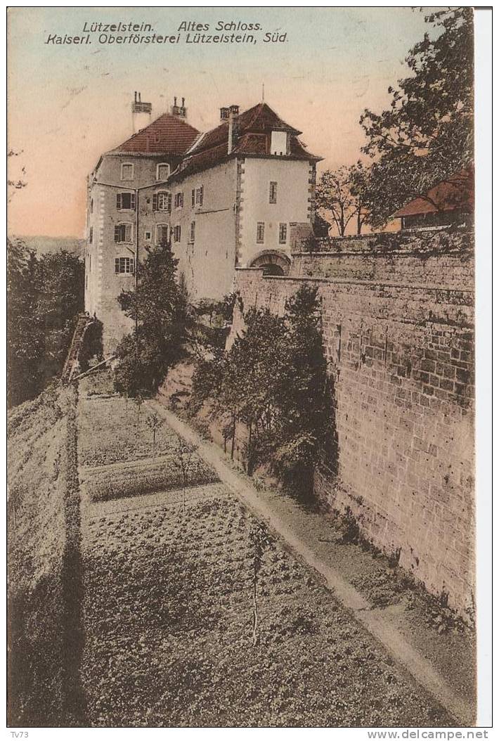 Cpc 1474 - Lutzelstein - Altes Schloss (la Petite Pierre) (67 - Bas Rhin) - La Petite Pierre