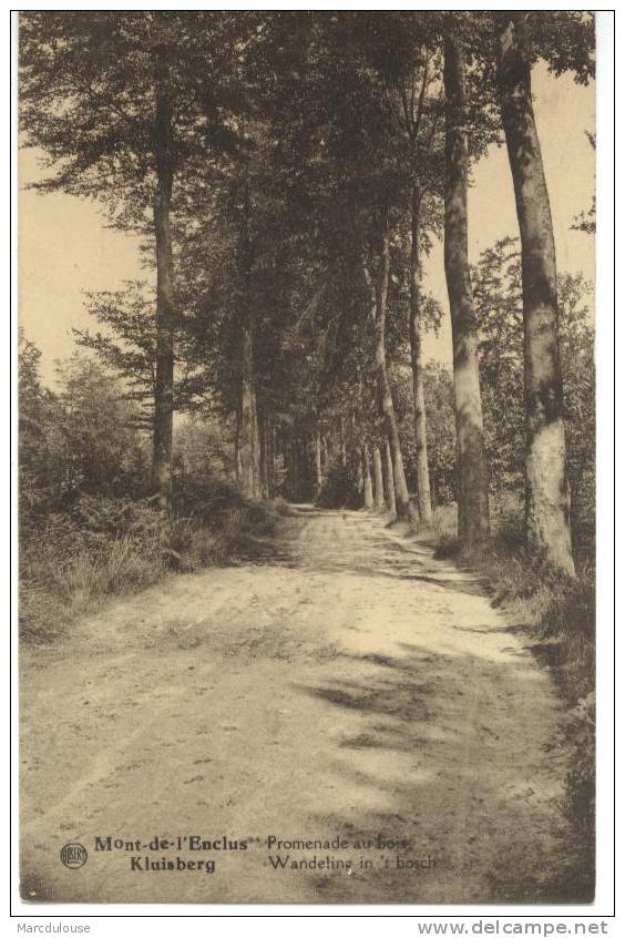 Mont-de-l´Enclus. Kluisberg. Promenade Au Bois. Wandeling In ´t Bos. Timbre - Postzegel N° 284. - Mont-de-l'Enclus