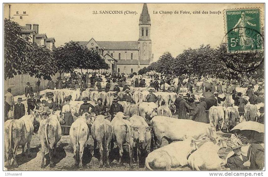 Carte Postale Ancienne Sancoins - Le Champ De Foire, Côté Des Boeufs - Marché, Agriculture, élevage Bovins, Vaches - Sancoins