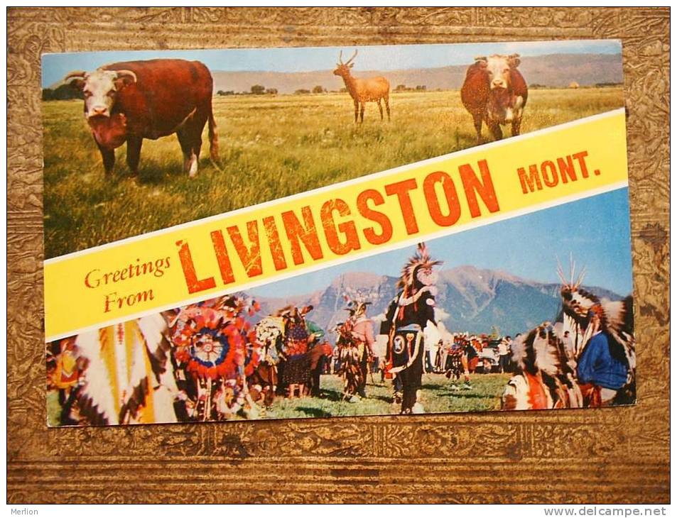 Livingston - Montana  - PU 1960  F   D12945 - Autres & Non Classés