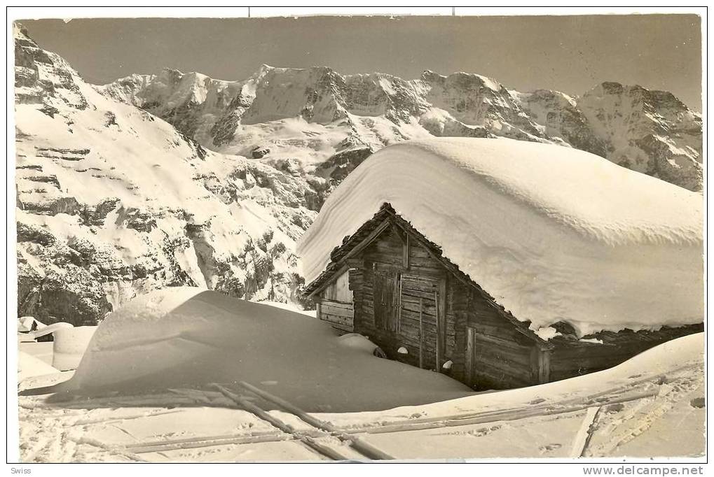 IM BLUMENTAL OB MÜRREN - Mürren