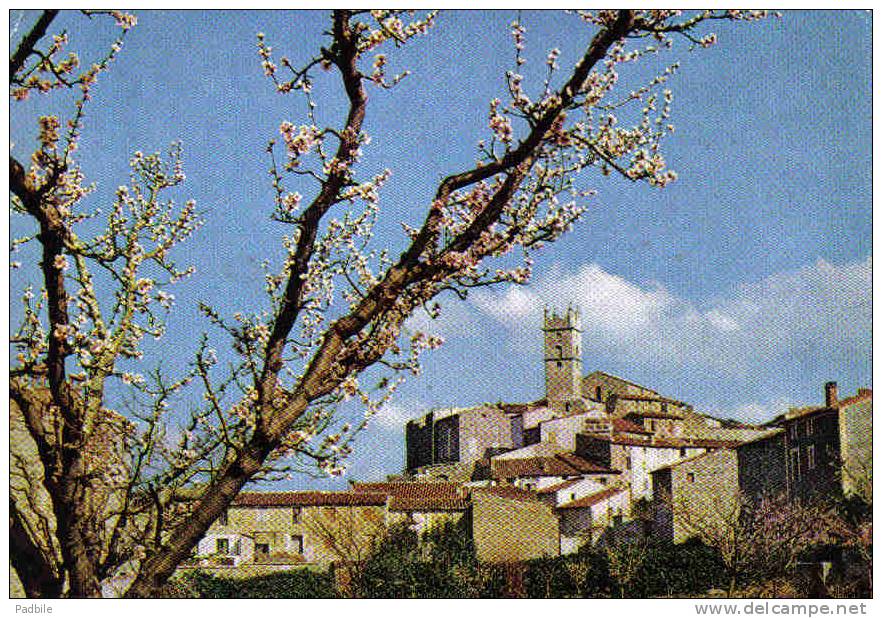 Carte Postale 66.  Roussillon  Trés Beau Plan - Roussillon