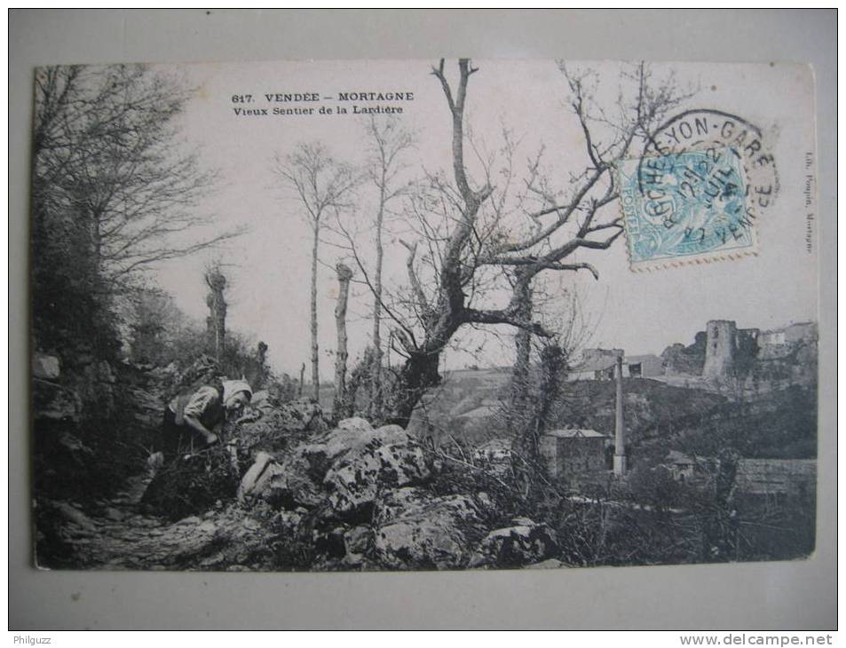 VENDEE MORTAGNE VIEUX SENTIER DE LA LARDIERE RAMASSEUSE DE FAGOTS BEAU PLAN - Mortagne Sur Sevre