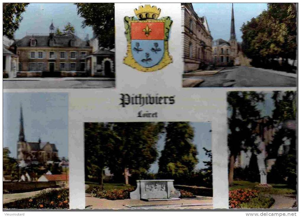 CPSM, PITHIVIERS (LOIRET) MULTIVUES - Pithiviers