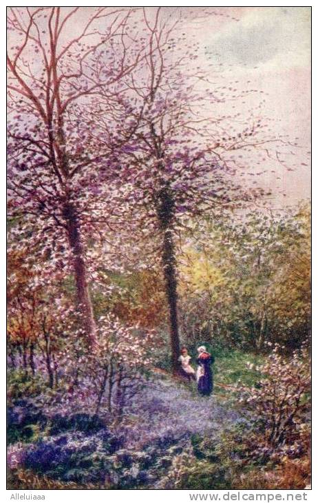 CPA Belle Illustration - Raphael Tuck Oilette N° 7985 - Devon " Blossom Time " Couleur - Tuck, Raphael