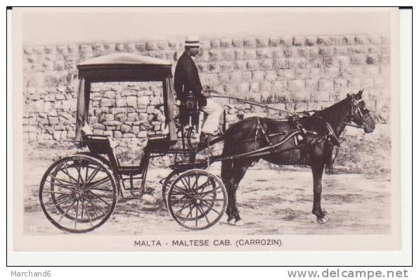 MALTE . MALTESSE CAB.(CARROZIN)  ATTELAGE - Malte