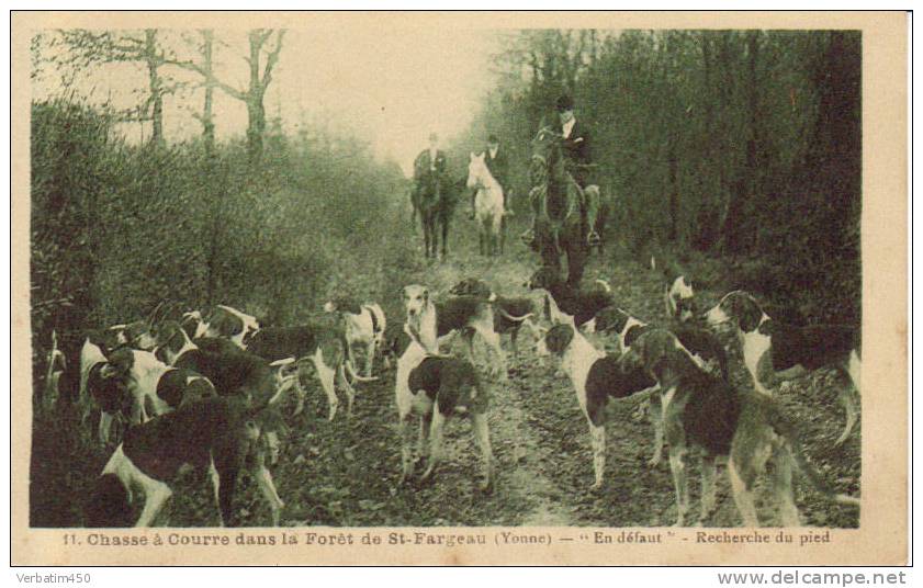 ST FARGEAU...CHASSE A COURRE EN FORET DE ST FARGEAURETOUR DE CHASSE ..EN DEFAUT..RECHERCHE DU PIED - Saint Fargeau