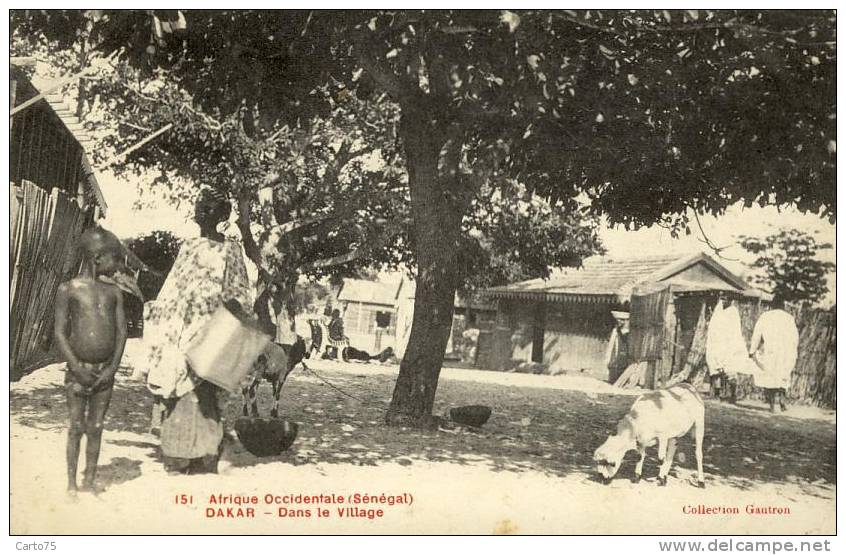 AFRIQUE - SENEGAL - DAKAR - Dans Le Village - Senegal