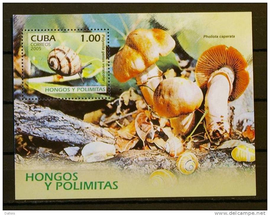 Cuba - 2005 - Champignons - Mushrooms - Escargots - Snails - Série + Bloc - Neufs - Coneshells
