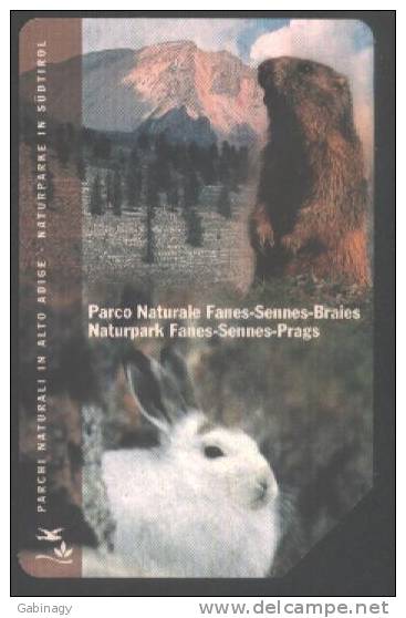 ITALY - C&C CATALOGUE - F3306 - ALTO ADIGE - SÜD TIROL - 4/7 - RABBIT - Pubbliche Tematiche