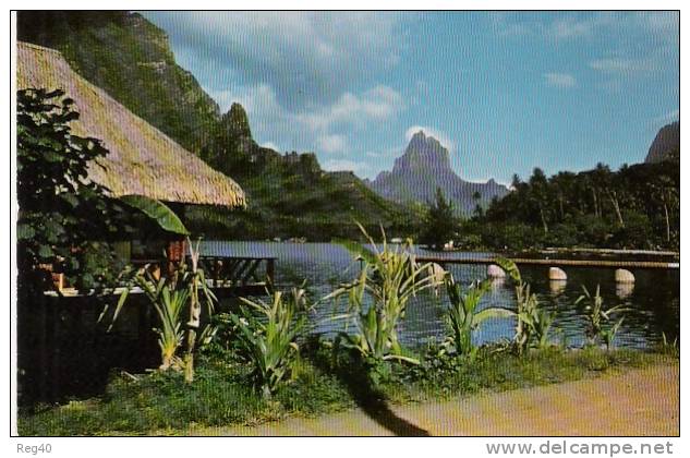 OCEANIE - TAHITI  - Baie De COOK, Vue De L'Hotel Aimeo, MOOREA - Tahiti