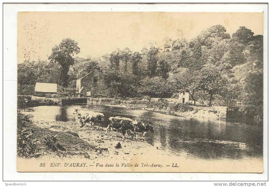 56-A-11 Auray Vue Dans La Vallée De Tréauray . 33 LL Vache Bretonne Expo Aviculture 1923 . Marquis D´armaillé Menantiere - Auray