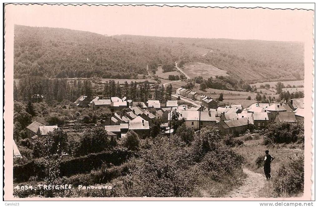 TREIGNES : PANORAMA    N° 4054 - Couvin