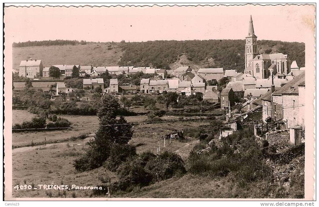 TREIGNES : PANORAMA      N° 4050 - Couvin