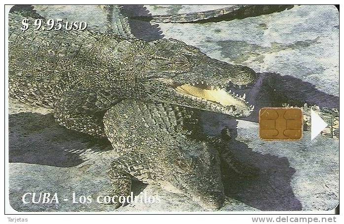 TARJETA DE CUBA DE UN COCODRILO (CROCODILE) - Krokodillen En Alligators