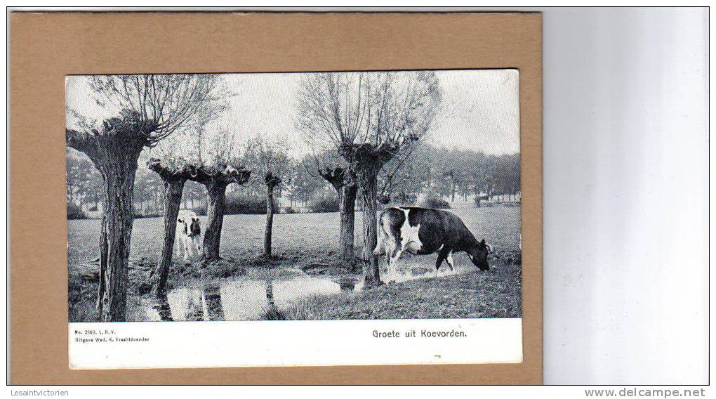 KOEVORDEN COEVORDEN POPPENHAAR PIKVELD DE LOO AGRICULTURE BETAIL - Coevorden