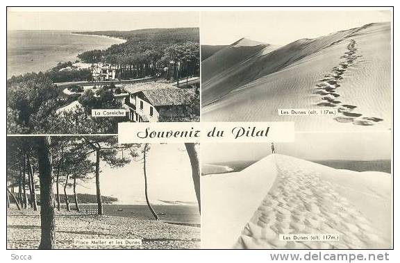 Souvenir Du PILAT - Bassin D´Arcachon - Mont Pilat