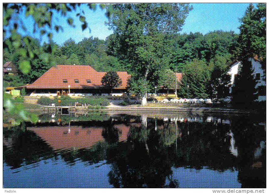 Carte Postale 57.  Bitche Plan D'eau Du Domaine De Hasselfurth Trés Beau Plan - Bitche