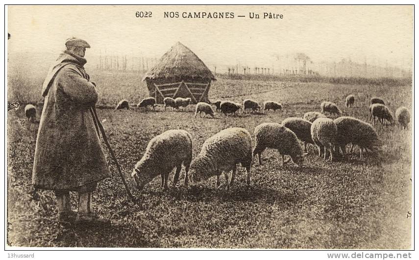 Carte Postale Ancienne Agriculture - Un Pâtre - Elevage, Ovins, Moutons, Berger - Breeding