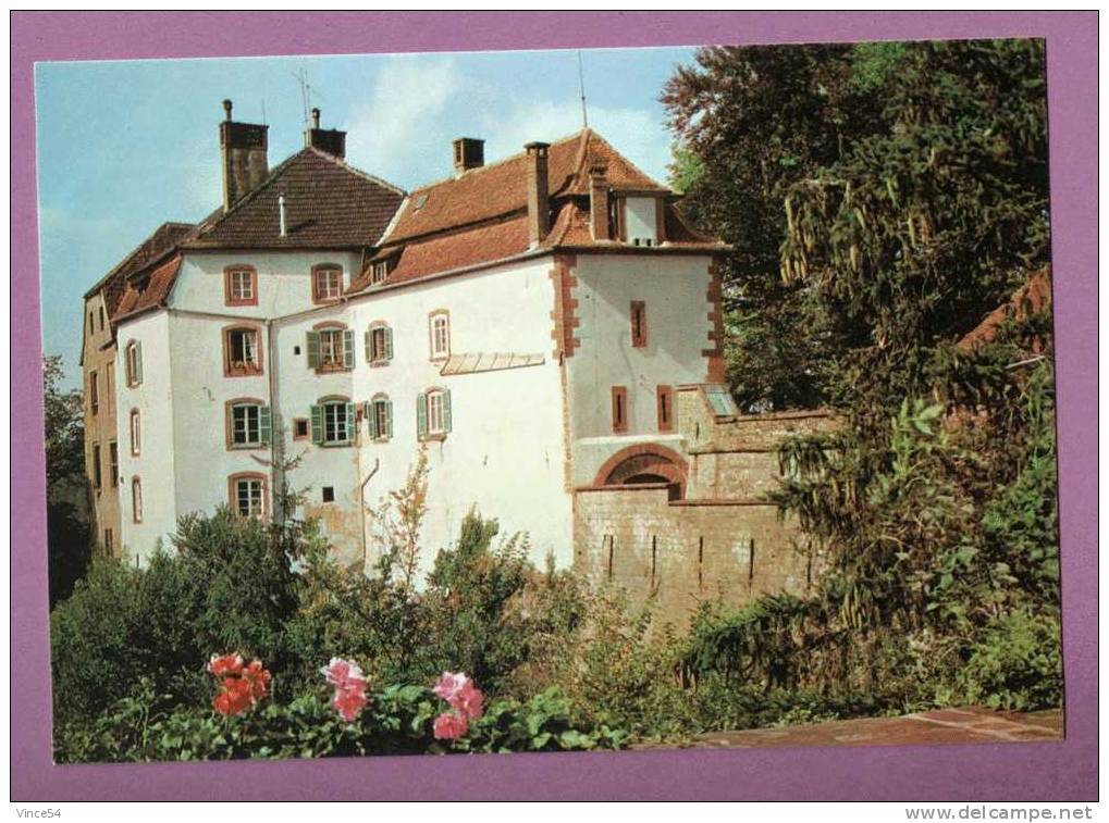 LA PETITE PIERRE  -  Le Château - La Petite Pierre