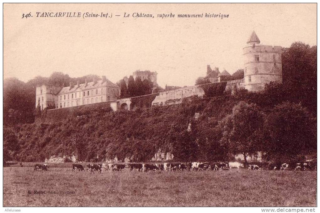 CPA  France - Seine Maritime - Tancarville - Le Château  ( Vaches ) TBE - Tancarville