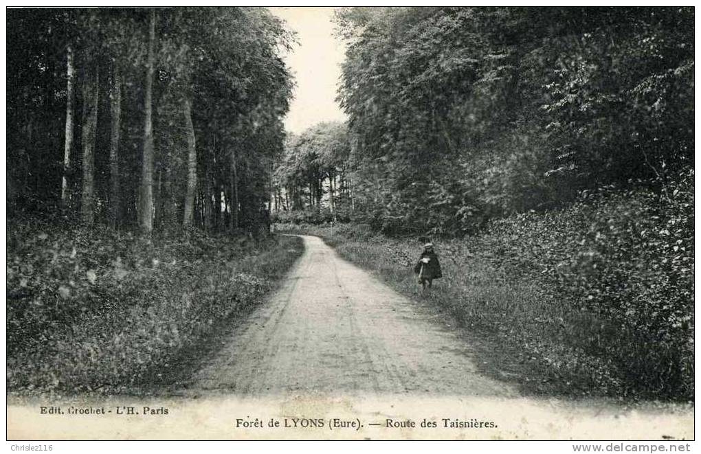 27 Forêt De LYONS Route De Taisnières  Petite Animation - Lyons-la-Forêt