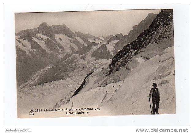 Jan8   18093   Grindelwald  Fieschergletscher  Und Schreckörner N° 2837 - Grindelwald