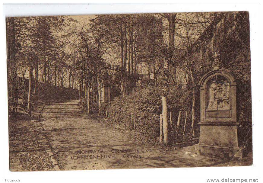 6659 - MONTAIGU - Chemin De La Croix - Scherpenheuvel-Zichem