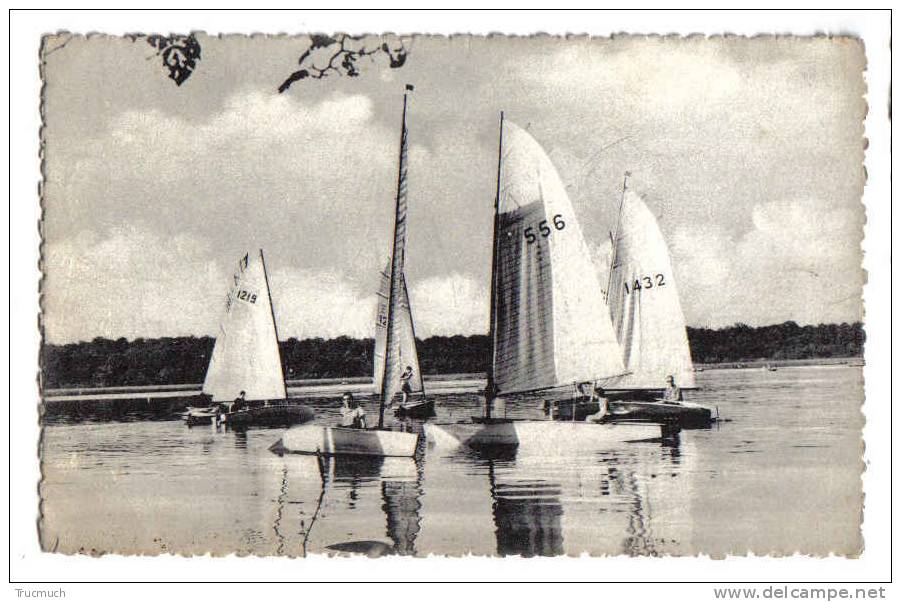 6660 - Lac De Virelles - Embarcations à Voiles - Chimay