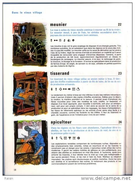 Que Ferai-je Plus Tard ?   Encyclopédie  De  La  Jeunesse 1981  Hachette  TBE - Encyclopaedia