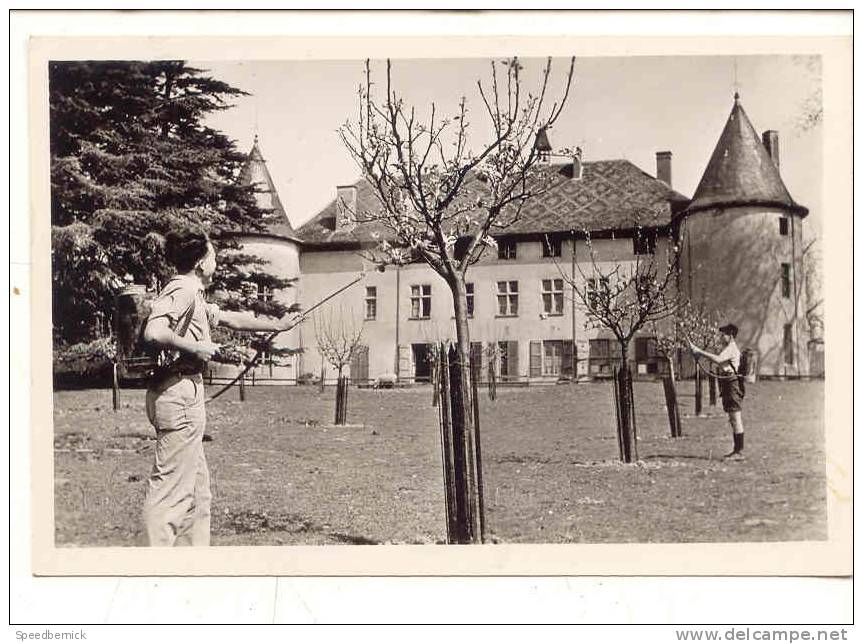 9097 Ecole D'agiculture De Ressins Oeuvre De Don Bosco Nandax  Le Grand Verger.  Photo Reportage. Pomme - Autres & Non Classés