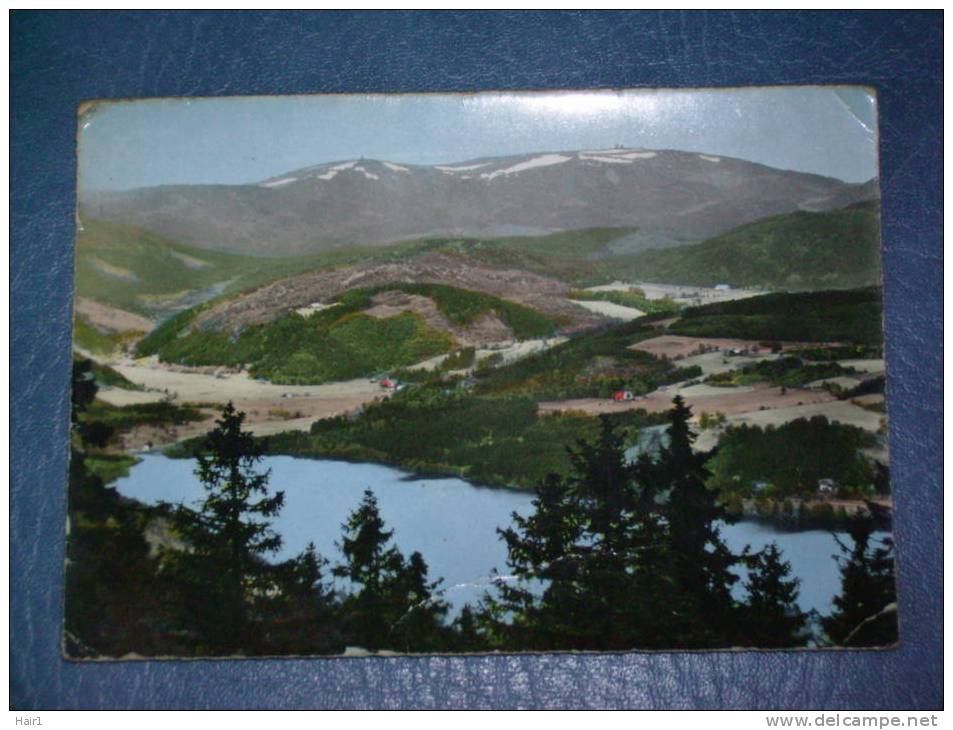 VDS CARTE POSTALE TITISEE FORET NOIRE ET LE FELDBARG  1495M - Titisee-Neustadt