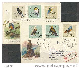 POLSKA / POLAND  : 1960 : Y. 1070-81 : FDC : VOGELS,OISEAUX,BIRDS,L.BERTHELOT, - FDC