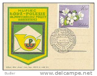 POLSKA / POLAND  : 1971 : Y. 1981 : FDC : BLOEMEN,FLEURS,FLOWERS,PYRUS L., - FDC